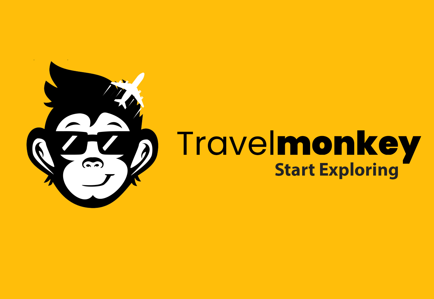 a travel monkey